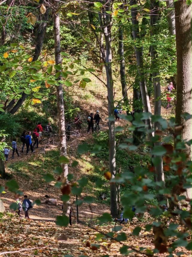 Planinari iz PK Greben osvojili oživeli Despotove staze